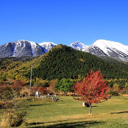 Monnatura Pirineus Son Del Pi Bagian luar foto